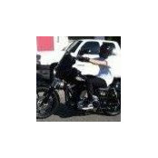 Matthew Davis's photo