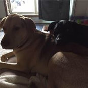 Katie Timm's photo