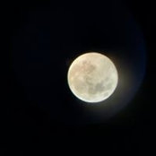 Jennie Johnson's photo
