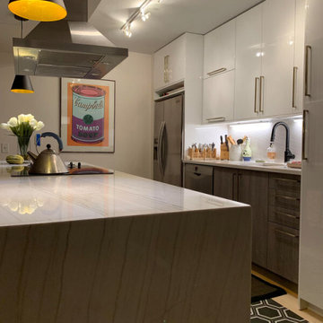 Evanston project