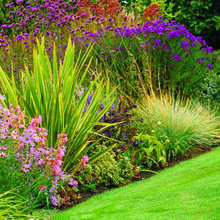 Landscape Ideas