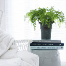 Plants-indoor