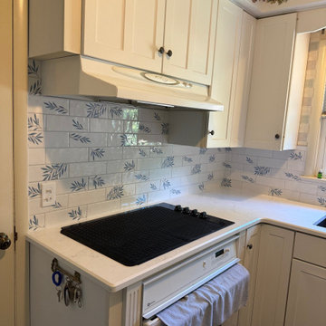 Quick Kitchen Update with our Swap a Top Program!