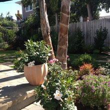 Landscape Ideas