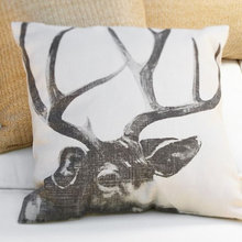 Guest Picks: Oh, Deer Me!