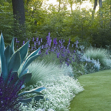 Cool Blues Garden Border