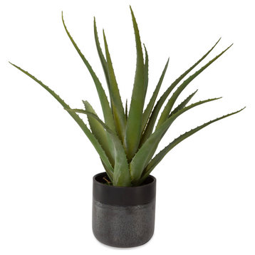 Uttermost Tucson Aloe Planter, 60204