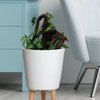 Serene Spaces Living Ceramic Planter With Wood Legs, White Planter