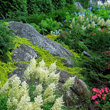 Plantings