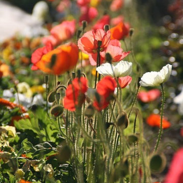 Our Landscape Portfolio