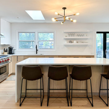Contemporary Whole Home Remodel in Arlington Heights