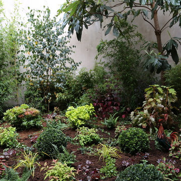 Création et plantation d’un jardin, Paris 15ème