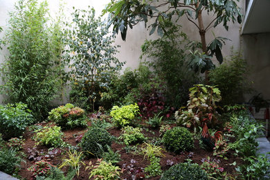 Cette image montre un jardin traditionnel.