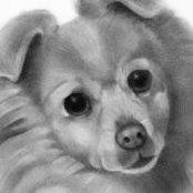 Carolyn Powers's photo