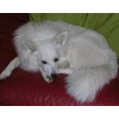 Marlene Fanucchi's photo
