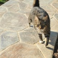 Salzano Custom Concrete's profile photo