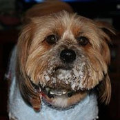 Kathy Fords foto