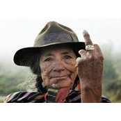 Alan Schechner's photo