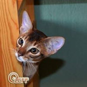 Olga Efremova's photo