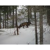 Mel Champagne's photo