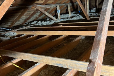 Daylight Basement Renovation & Rewire — Seattle, WA (In Progress)