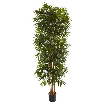 7.5' Phoenix Palm Tree, Green