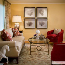 Living Room Ideas