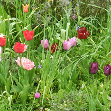 Cottage Gardens