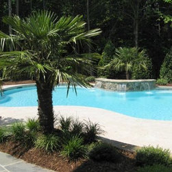 Freeform Pools - Products