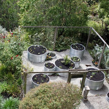 Herb Garden