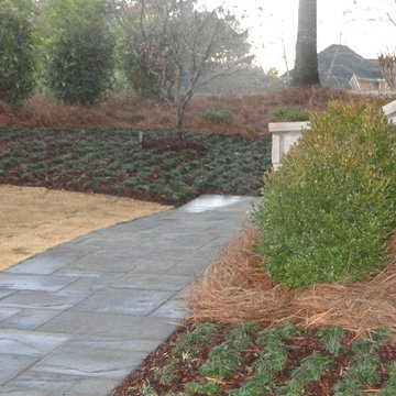 Foundational Planting