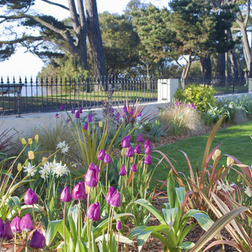 Seaside Front Garden - Dorset