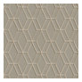 Taupe Champagne Gray Beige
