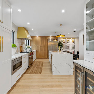 Full House Remodel (Richmond)