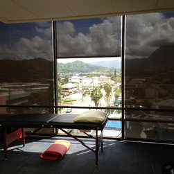 Screen Roller Shades - Products