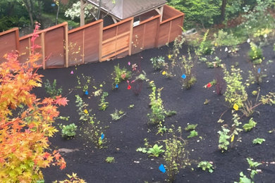 Inspiration for a landscaping in Seattle.