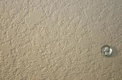 Wall Texture For House Remodel Houzz