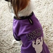 Janis Behrens's photo