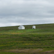 Dave Greenplate's photo