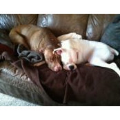 April Garza's photo