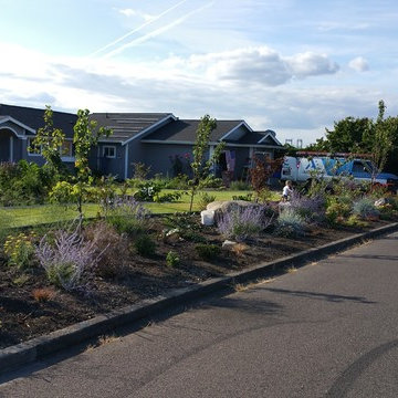Edible Front Yard