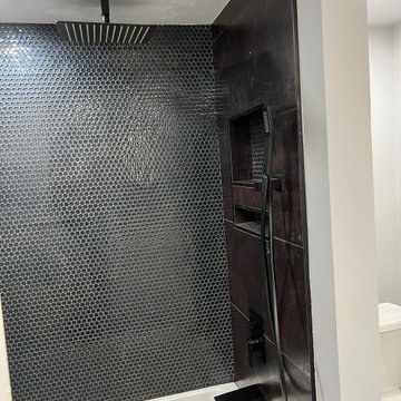 Penny Tile Glass Shower Guest Bath Remodel