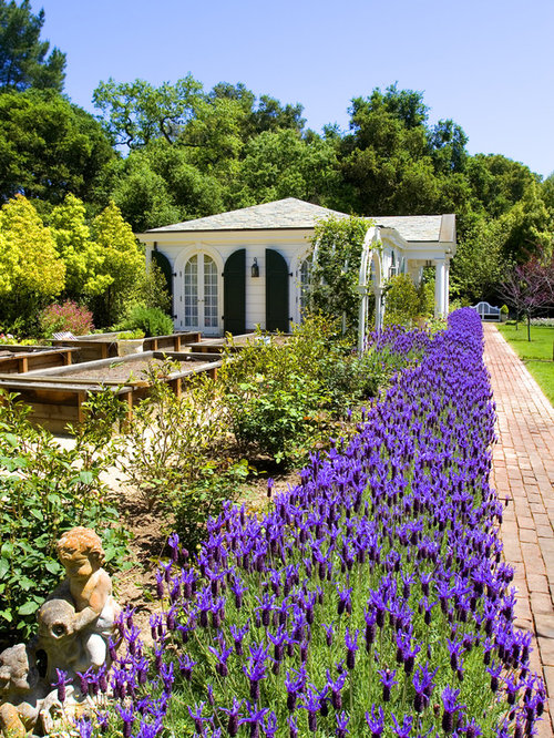 Spanish Garden | Houzz on Spanish Garden Design
 id=73931