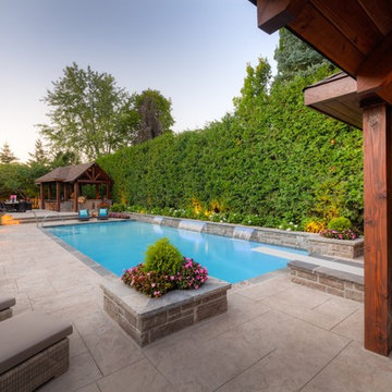 Entertaining Lifestyle Backyard