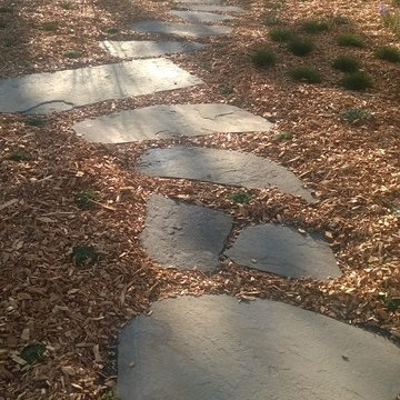 Seaside Santa Cruz - Lawn Removal