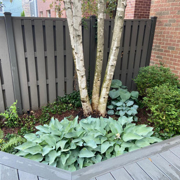 Fine Tuning an Established Garden
