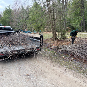 Land Clearing