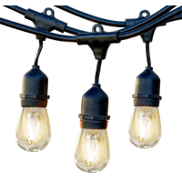 Brightech AmbiencePro Incandescent String Lights 11Watt S14, 48 Ft Strand