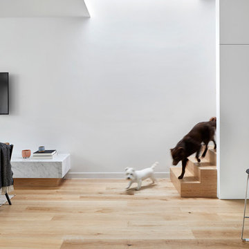 South Yarra Terrace House