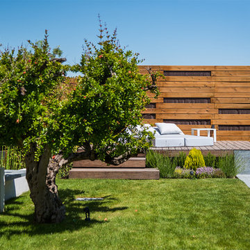 The green pool